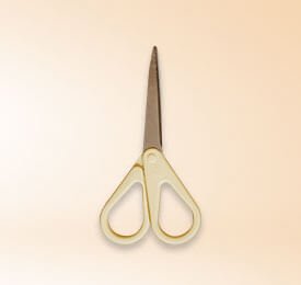 Stainless Steel Office Scissors